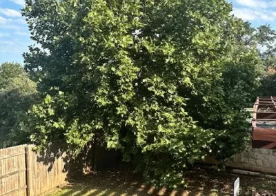 Dependable landscape designer