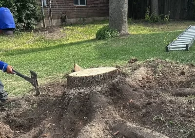 Top-rated landscape designer