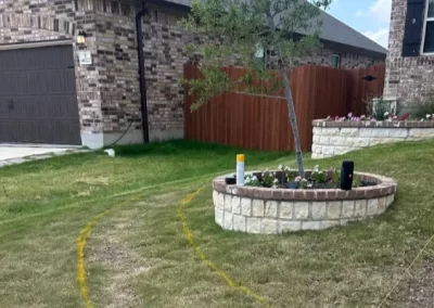 Professional landscape designer