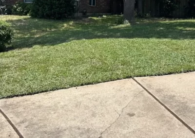 Reliable landscape designer