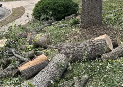 Top-rated landscape designer