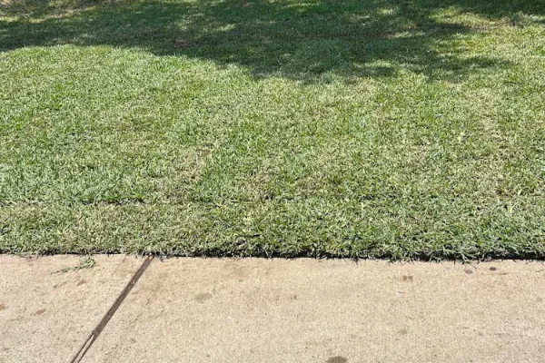 Trusted hardscape contractor in Austin, TX Trusted hardscape contractor in Austin, TX